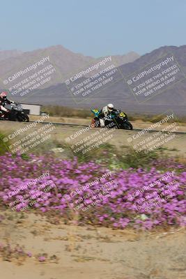 media/Feb-04-2023-SoCal Trackdays (Sat) [[8a776bf2c3]]/Turn 15 Inside Blooming (1050am)/